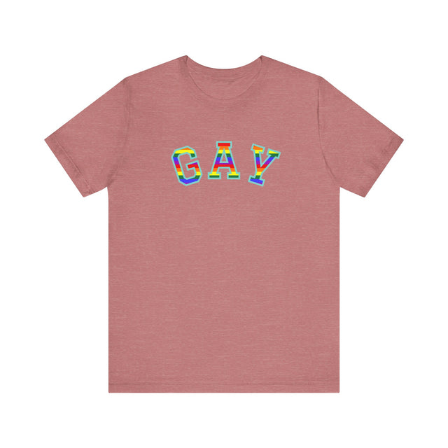 GAY Tshirt, Gay Pride Tshirt, LGBTQ+ tshirt, GAY shirt, Pride Shirt, lesbian shirt, Queer tshirt, Gay and proud tshirt, Love is Love shirt