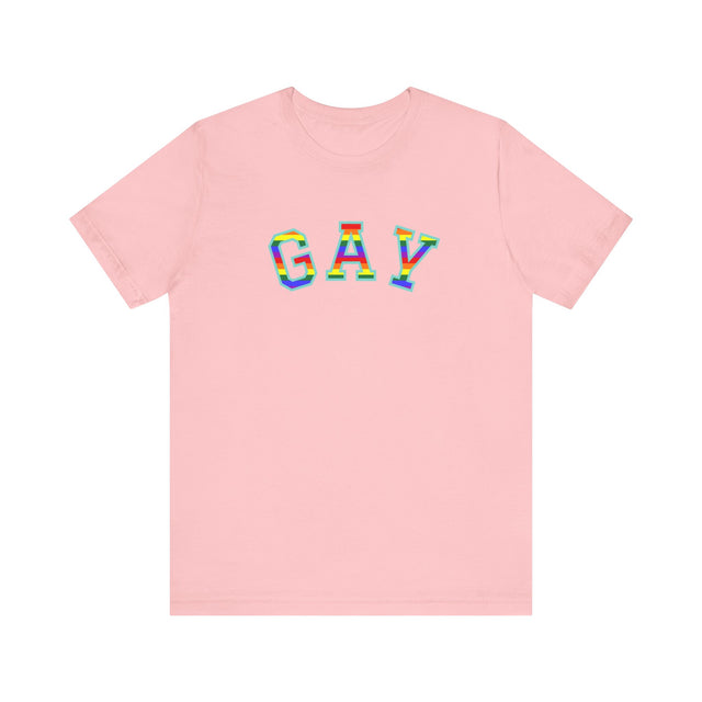 GAY Tshirt, Gay Pride Tshirt, LGBTQ+ tshirt, GAY shirt, Pride Shirt, lesbian shirt, Queer tshirt, Gay and proud tshirt, Love is Love shirt