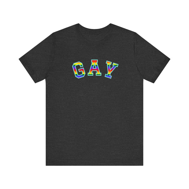 GAY Tshirt, Gay Pride Tshirt, LGBTQ+ tshirt, GAY shirt, Pride Shirt, lesbian shirt, Queer tshirt, Gay and proud tshirt, Love is Love shirt