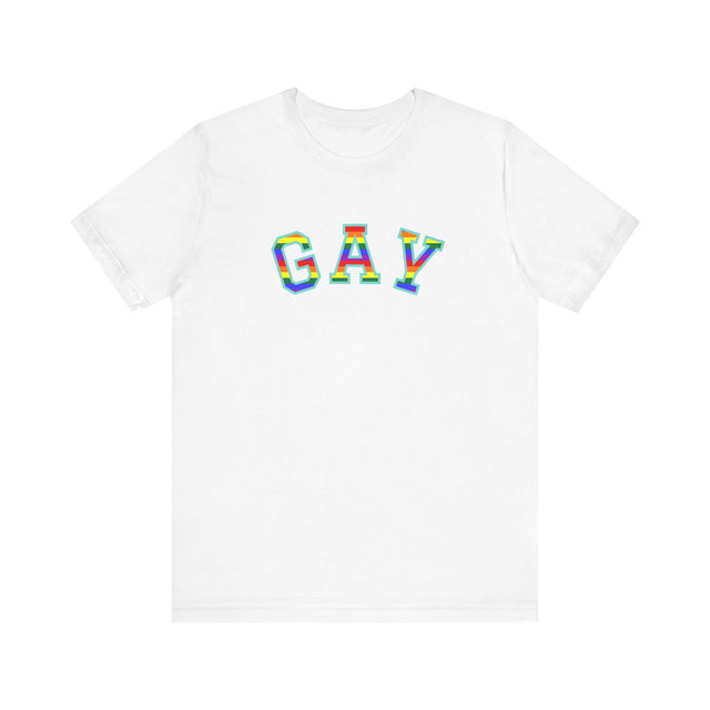 GAY Tshirt, Gay Pride Tshirt, LGBTQ+ tshirt, GAY shirt, Pride Shirt, lesbian shirt, Queer tshirt, Gay and proud tshirt, Love is Love shirt